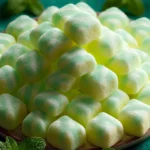 Easy Butter Mints First Image